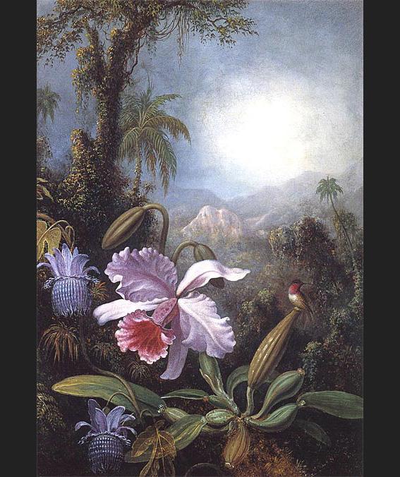 Martin Johnson Heade Orchids Passion Flowers and Hummingbird